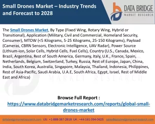 Small Drones Market