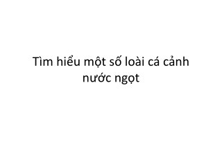 Tìm hiểu một số loài cá cảnh nước ngọt