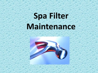 Spa Filter Maintenance