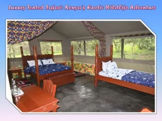 Luxury Tented Safari Kenya's Exotic Wildlife Adventure