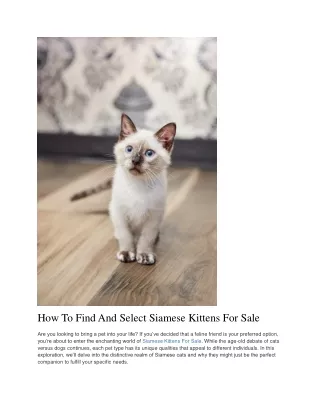 Embrace the Elegance of Siamese Kittens for Sale