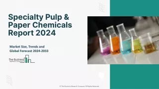 Specialty Pulp & Paper Chemicals Market Outlook, Trends ,Forecast 2024-2033