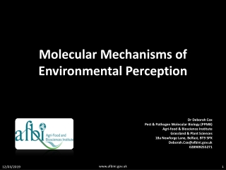Molecular Mechanisms of Environmental Perception