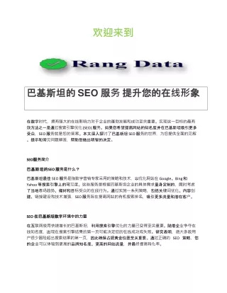 巴基斯坦的 SEO 服务 提升您的在线形象