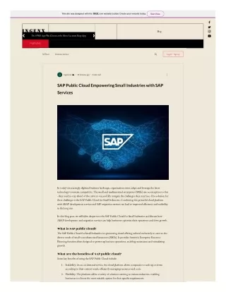 SAP Public Cloud Empowering Small Industries with SAP Services