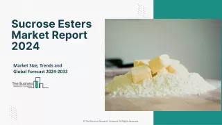 Global Sucrose Esters Market Dynamics & Segmentation Analysis Report 2024