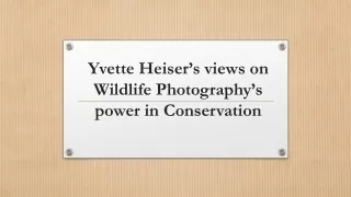 Yvette Heiser’s views on Wildlife Photography’s power in Conservation