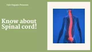 Know about Spinal cord!