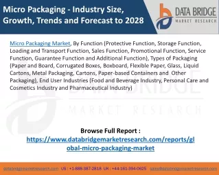 Micro Packaging Market