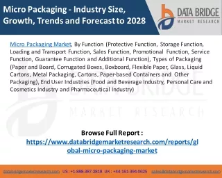 Micro Packaging Market