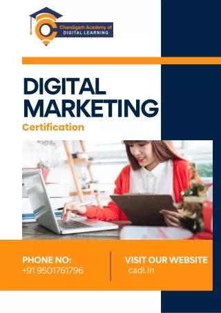 Digital marketing certificate Course In Zirakpur