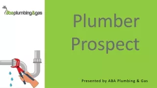 Plumber Prospect