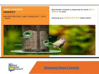 Bird Feeder Market