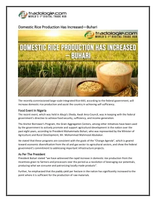 9-Domestic Rice Production Has Increased—Buhari