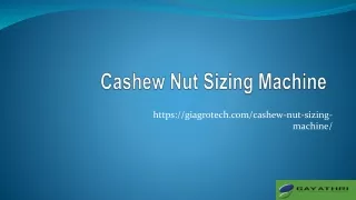 Automatic Raw Cashew Nut Sizing System, Cashew Nut Size Grading Machine