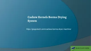 Automatic Cashew Borma Dryer Machine, Cashew Nut Drying System, Nut Tray Drying