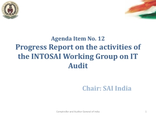 Agenda Item No. 12 Progress Report on the activities of the INTOSAI Working Group on IT Audit