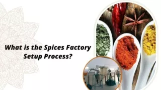 Spices Factory Setup Process