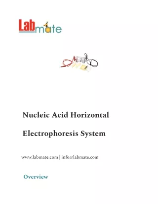 _Nucleic Acid Horizontal Electrophoresis System