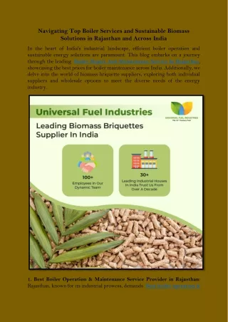 Efficiency Unleashed Navigating Top Boiler Services and Sustainable Biomass Solutions in Rajasthan and Across India