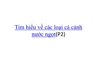 Tìm hiểu một số loài cá cảnh nước ngọt - phần 2