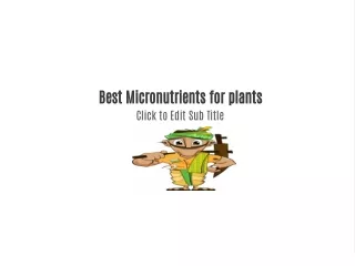 Micronutrients for plants - Aries Agro