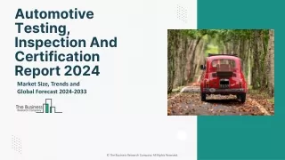 Automotive Testing, Inspection and Certification Market Analysis By 2033