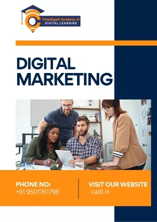 The best digital marketing courses In Zirakpur