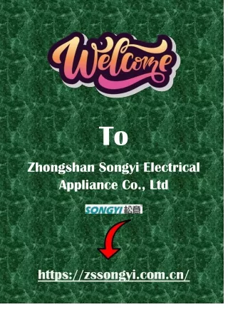 Premium Wall Hung Gas Boiler Spare Parts - Zhongshan Songyi