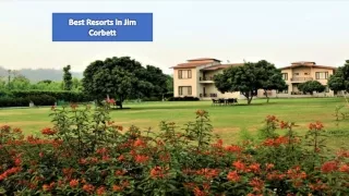 Luxury Resorts in Jim Corbett | Corporate Offsites in Jim Corbett
