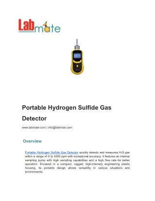 Portable Hydrogen Sulfide Gas Detector