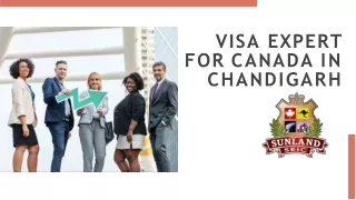 Visa-Expert-for-Canada-in-Chandigarh