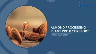 Almond Processing Plant Project Report PDF 2024 : Cost And Setup Details