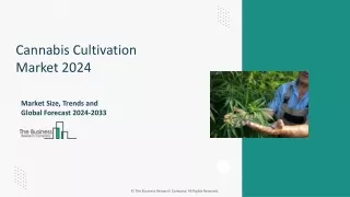 Cannabis Cultivation