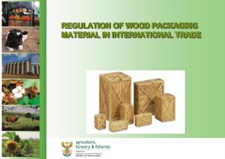 REGULATION OF WOOD PACKAGING MATERIAL IN INTERNATIONAL TRADE