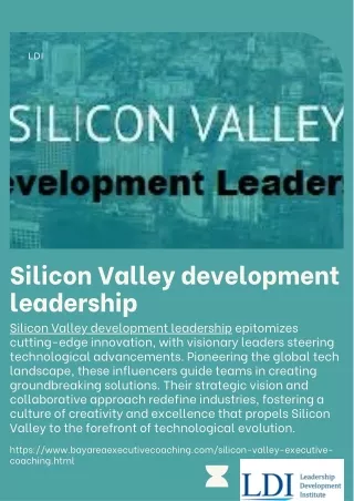 Silicon Valley development leadership