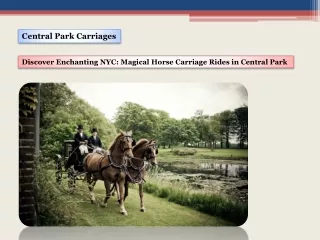 Discover Enchanting NYC Magical Horse Carriage Rides in Central Park