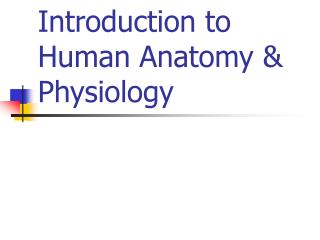 Introduction to Human Anatomy &amp; Physiology