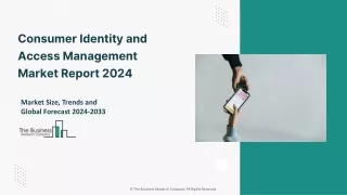 Consumer Identity and Access Management Global Market 2024