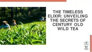 The Timeless Elixir Unveiling the Secrets of Century Old Wild Tea