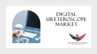 Digital Ureteroscope Market Demand, Research Report 2024