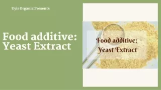 Food additive Yeast Extract