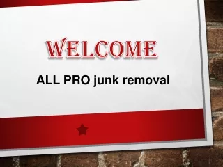 Best Commercial Junk Removal in Borden