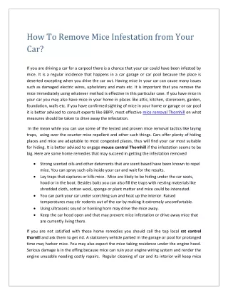 How To Remove Mice Infestation from Your Car
