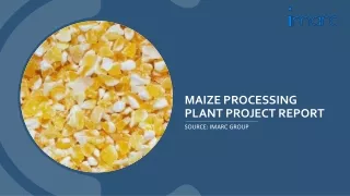 Maize Processing Plant Report PDF 2024 | Requirements and Machinery