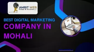 Best Digital Marketing Company in Mohali.