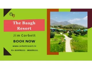 Luxury Resort in Jim Corbett | The Baagh Resort in Jim Corbett