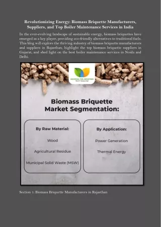 Revolutionizing Energy Biomass Briquette Manufacturers, Suppliers, and Top Boiler Maintenance Services in India