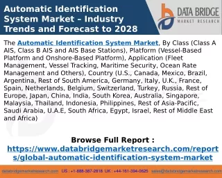 Automatic Identification System Market