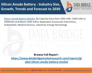 Silicon Anode Battery Market